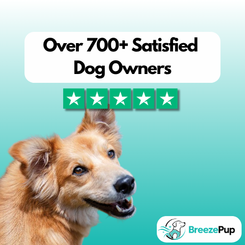 BreezePup | Cooling Vest