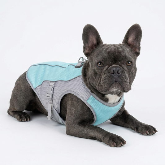 BreezePup | Cooling Vest