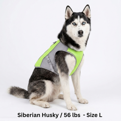 BreezePup | Cooling Vest
