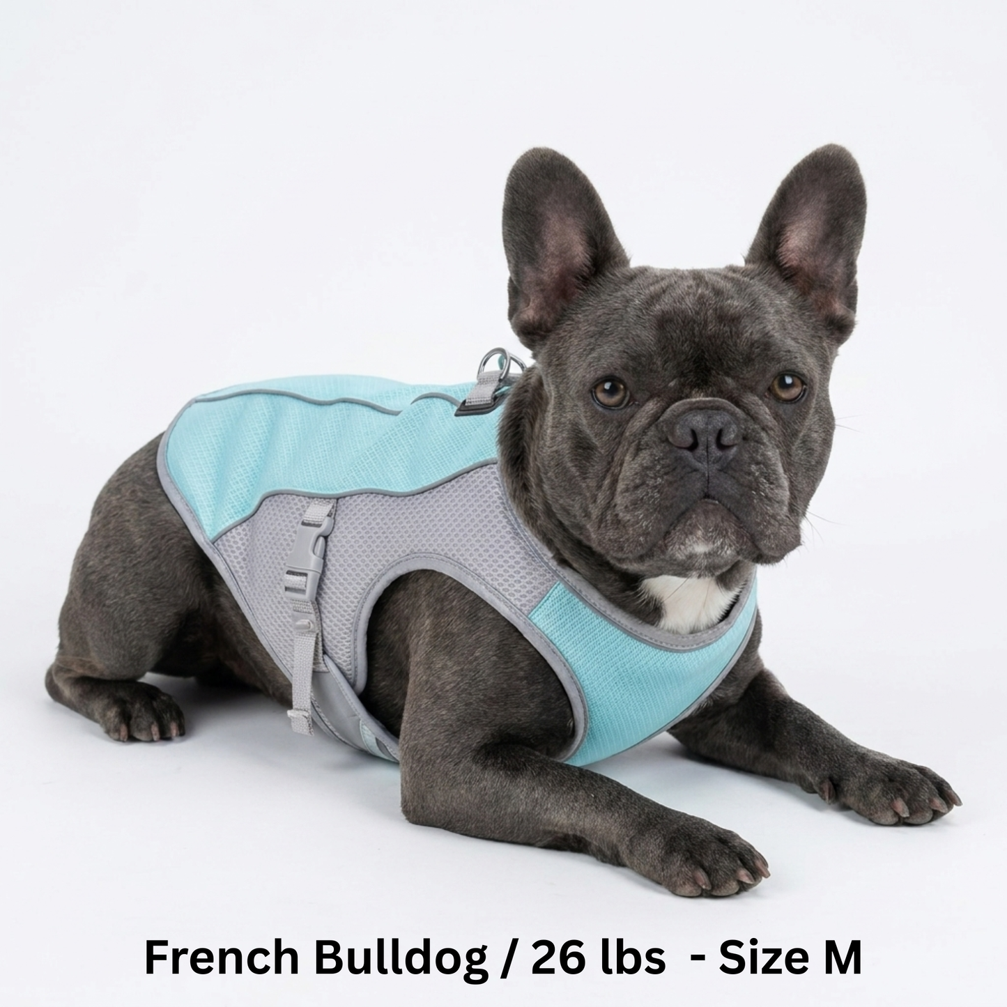 BreezePup | Cooling Vest