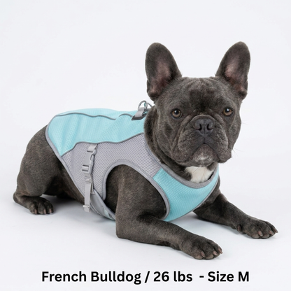 BreezePup | Cooling Vest