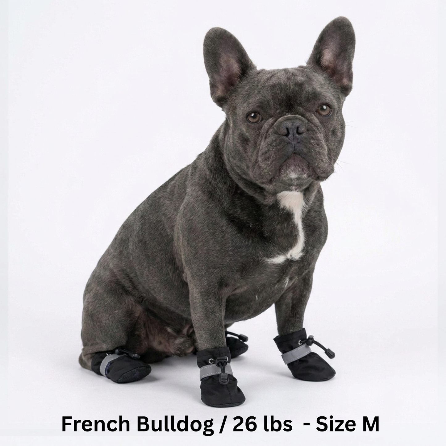 BreezePup | Paw Guards